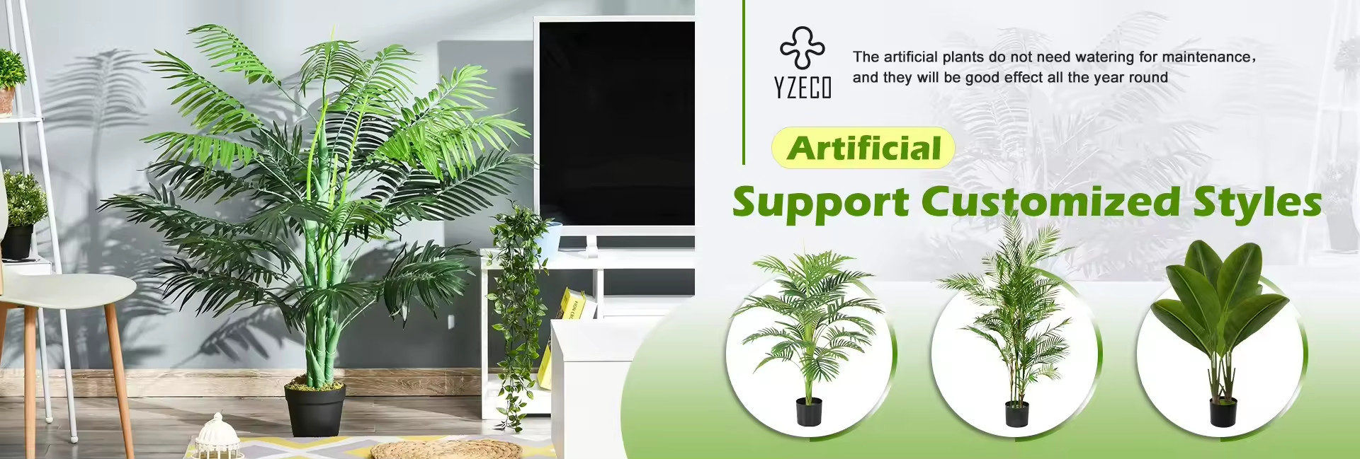 ποιότητας Φυσικό Διατηρημένο Μουσό εργοστάσιο